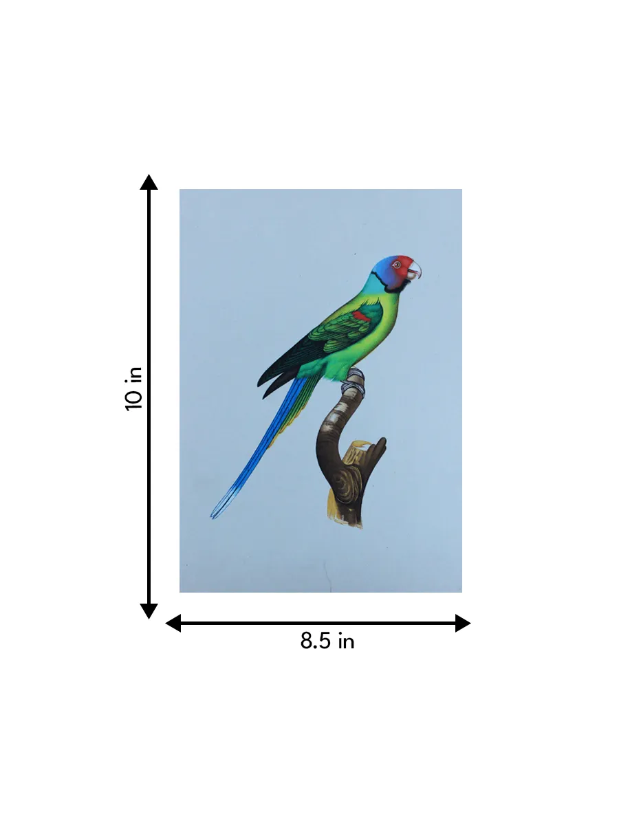 A Radiant Parrot in Miniature Painting by Mohan Prajapati