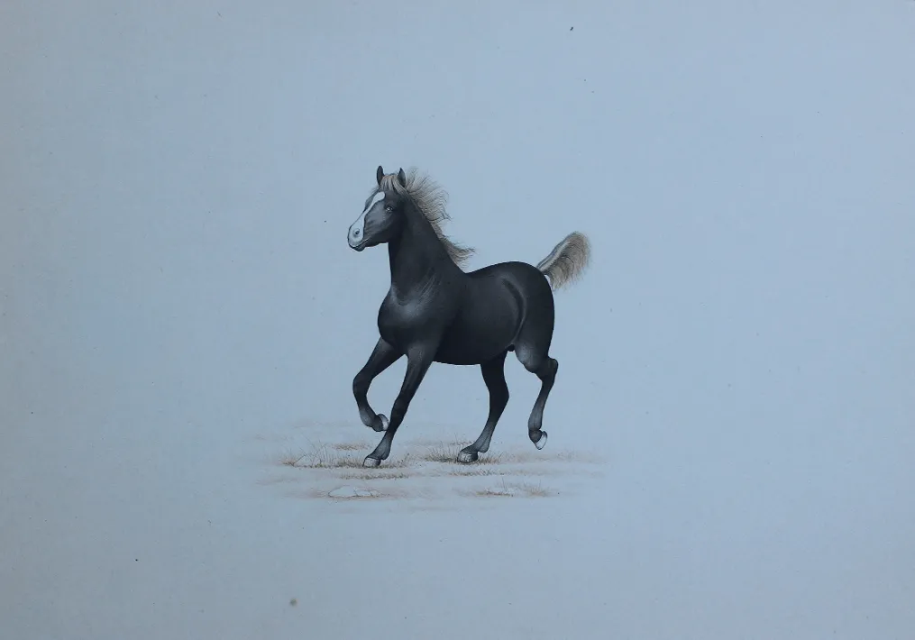 A Splendid Horse in Miniature Painting by Mohan Prajapati