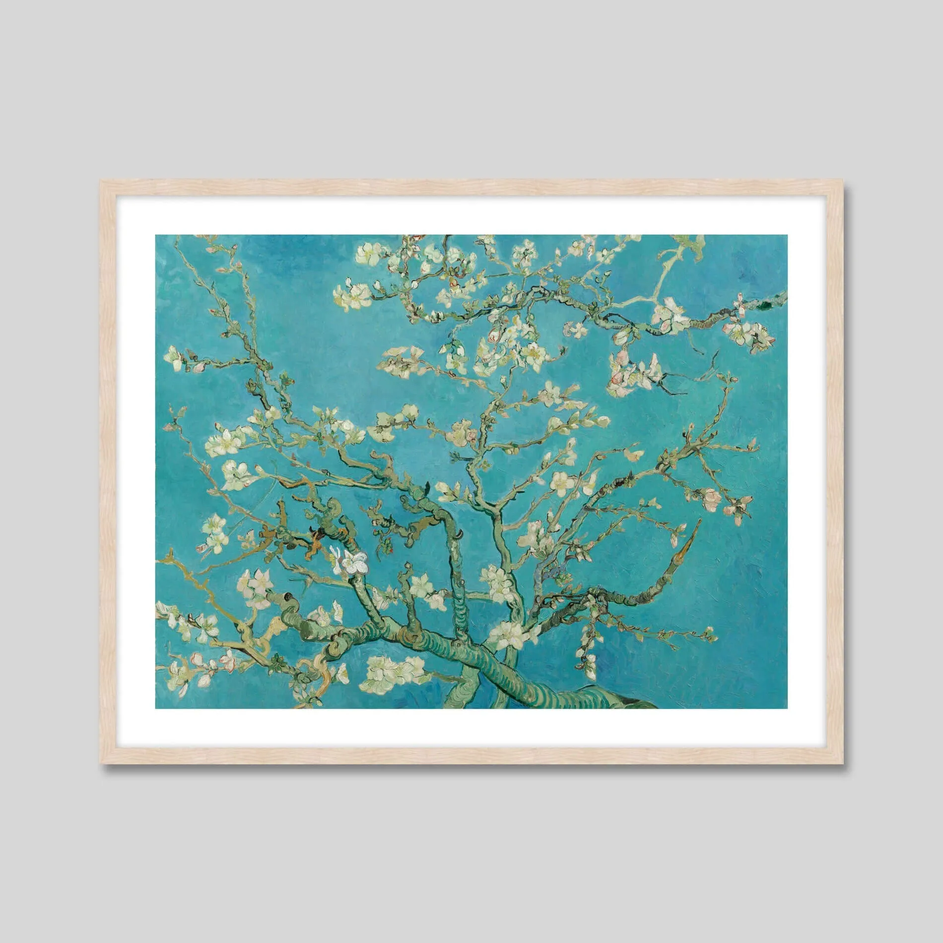 Almond Blossoms