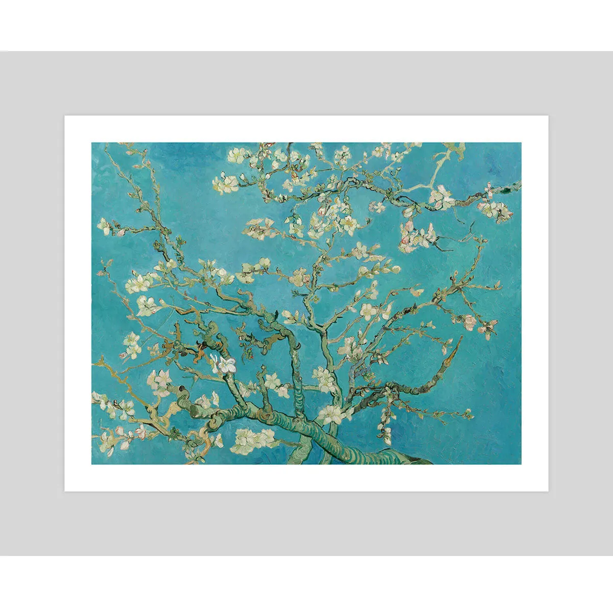 Almond Blossoms