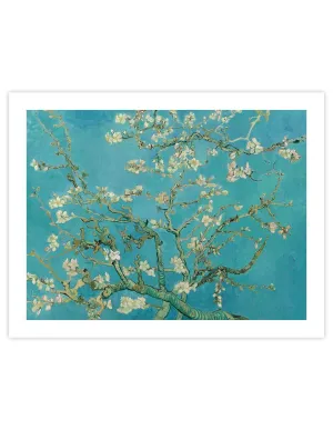 Almond Blossoms