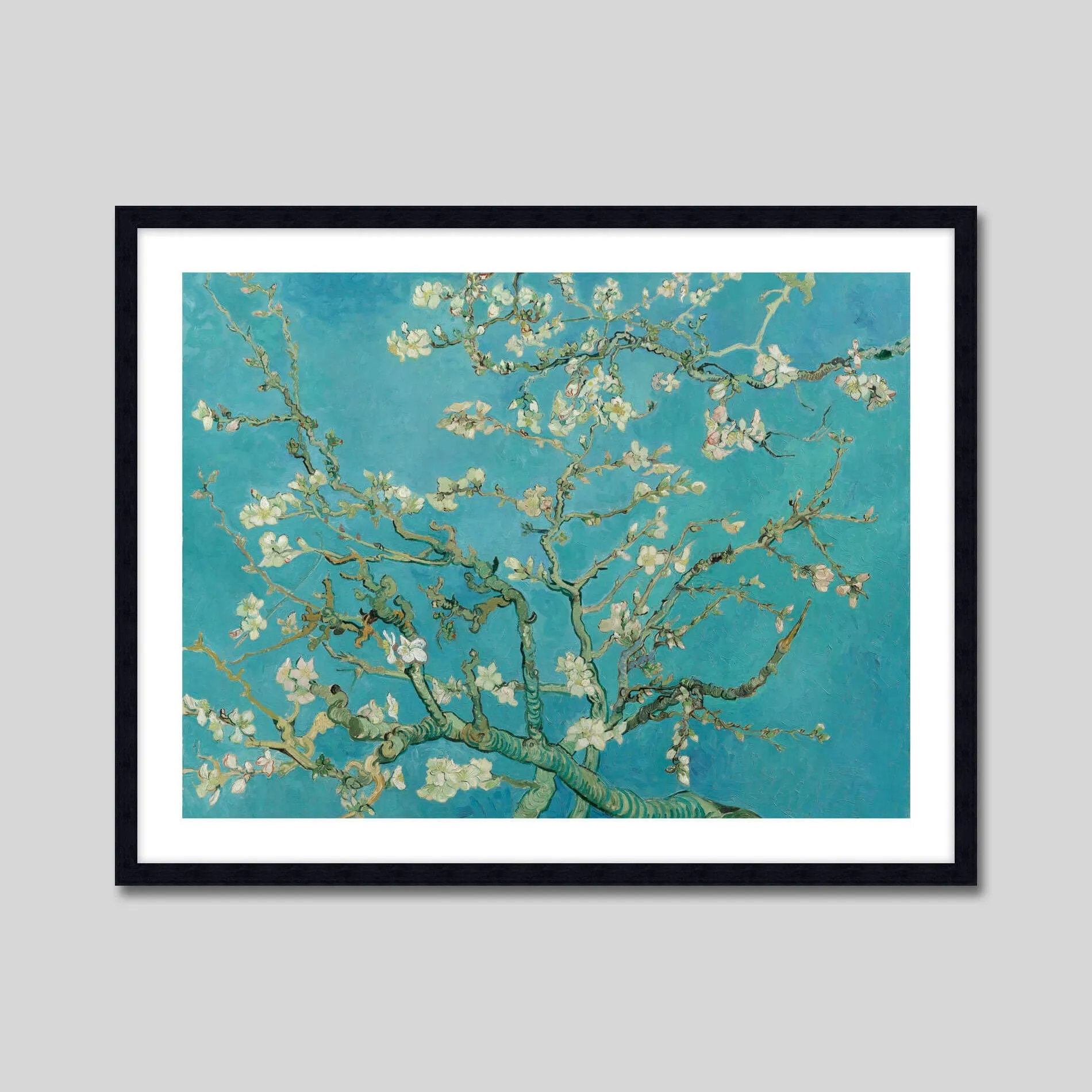 Almond Blossoms