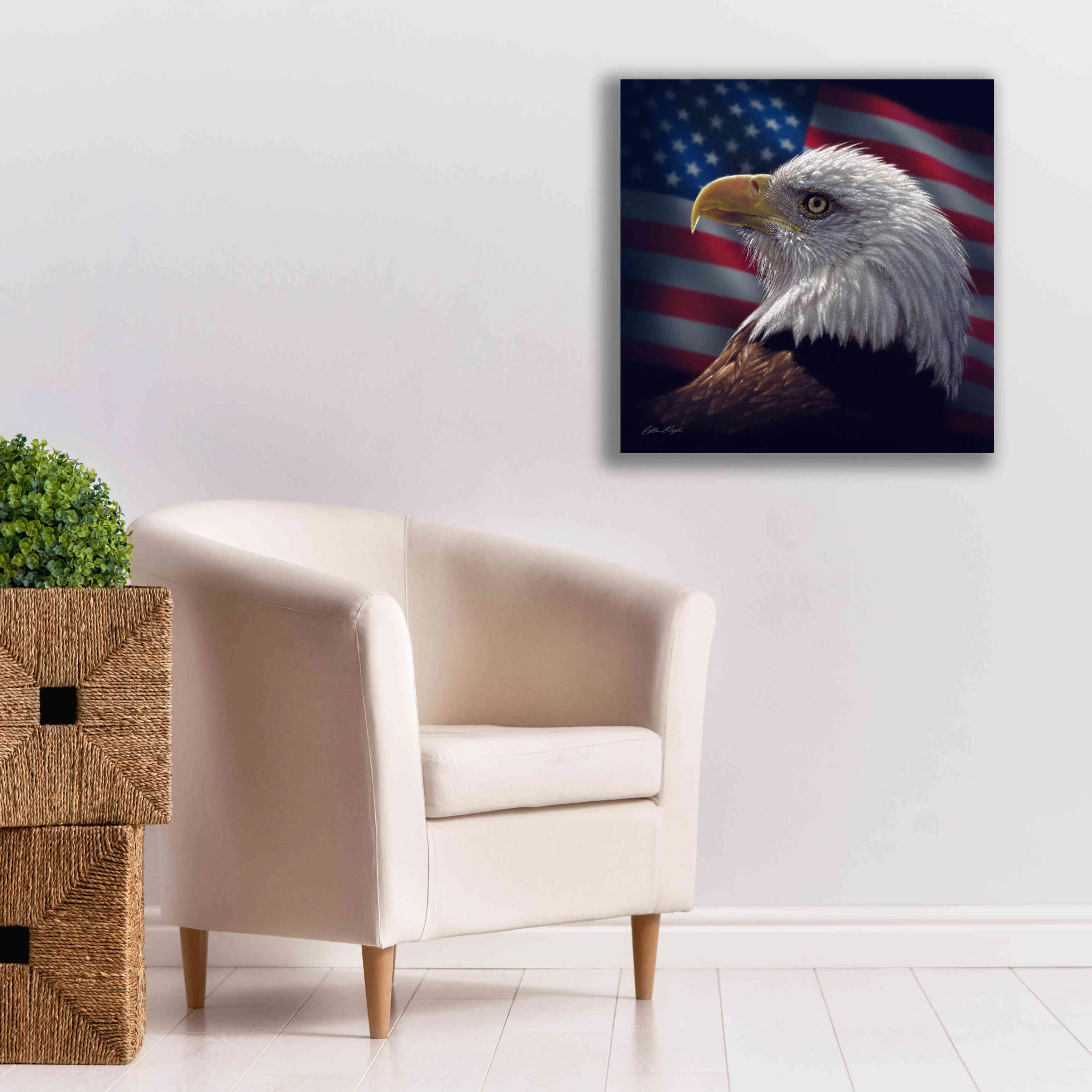 'American Bald Eagle' by Collin Bogle, Canvas Wall Art