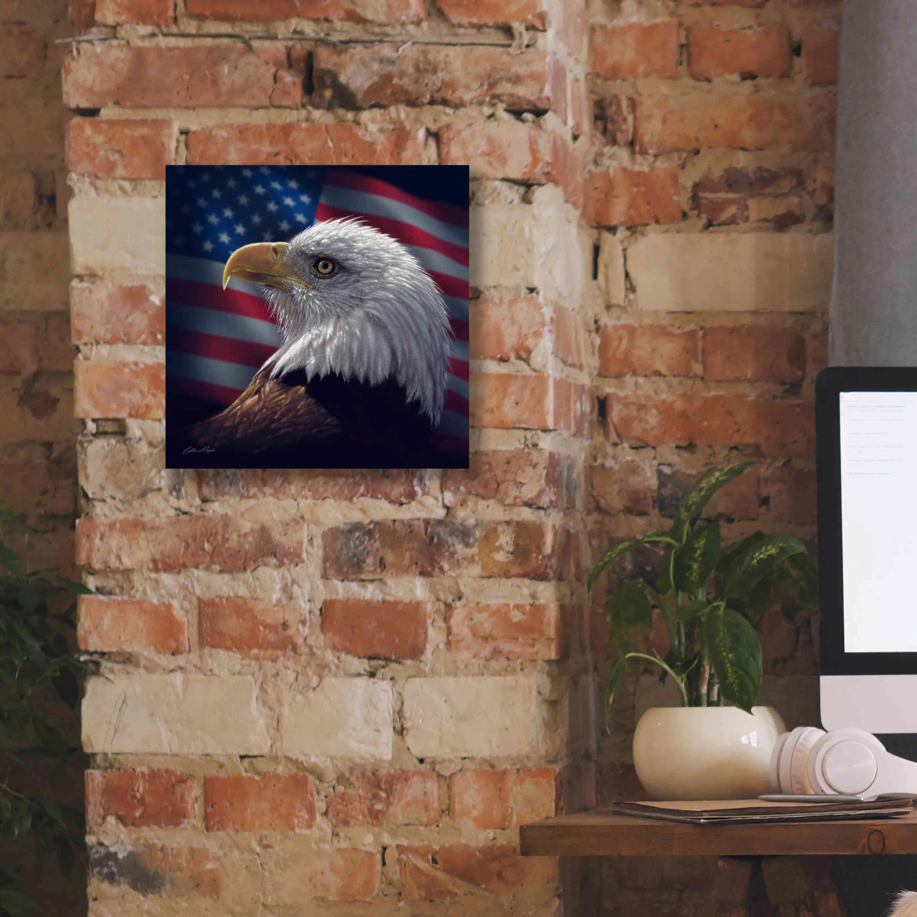 'American Bald Eagle' by Collin Bogle, Canvas Wall Art