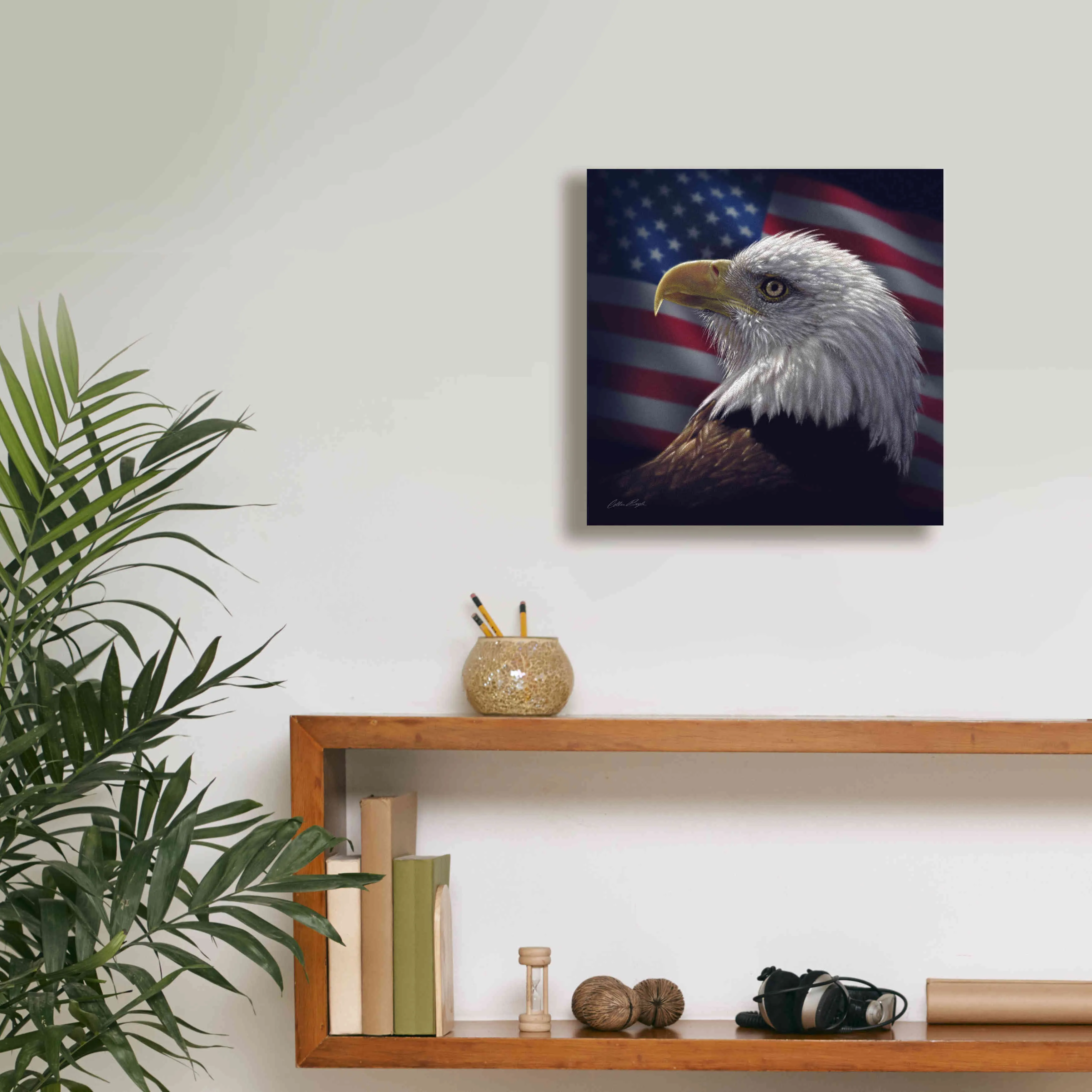 'American Bald Eagle' by Collin Bogle, Canvas Wall Art