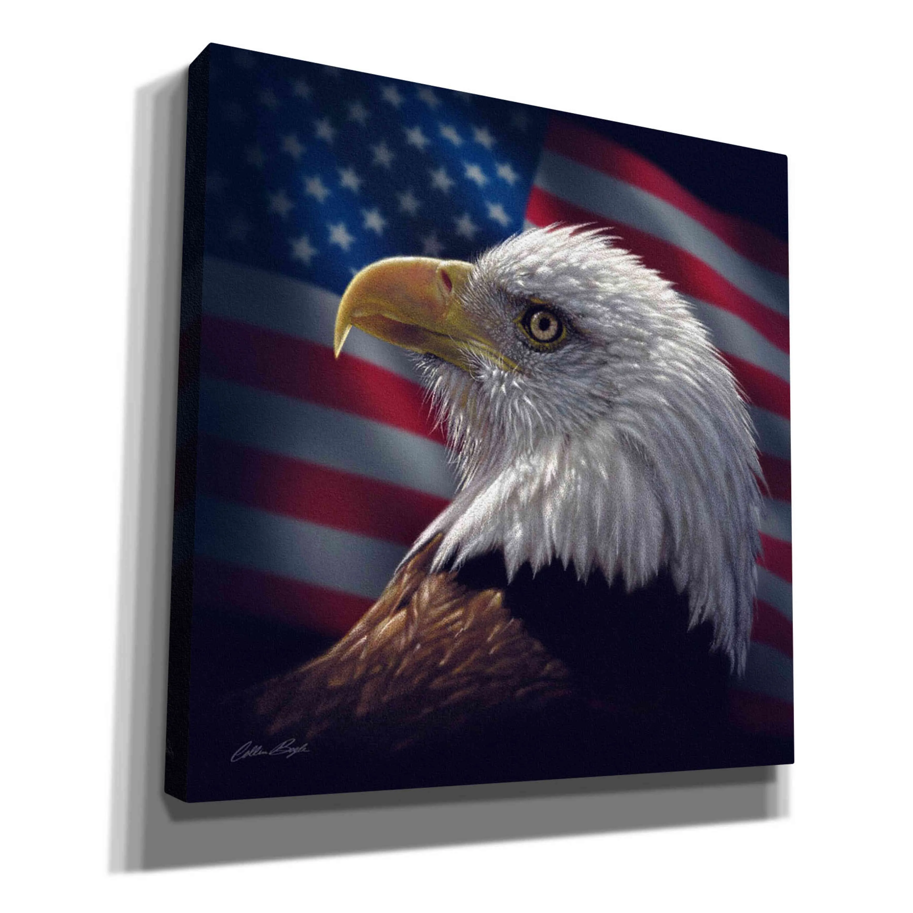 'American Bald Eagle' by Collin Bogle, Canvas Wall Art