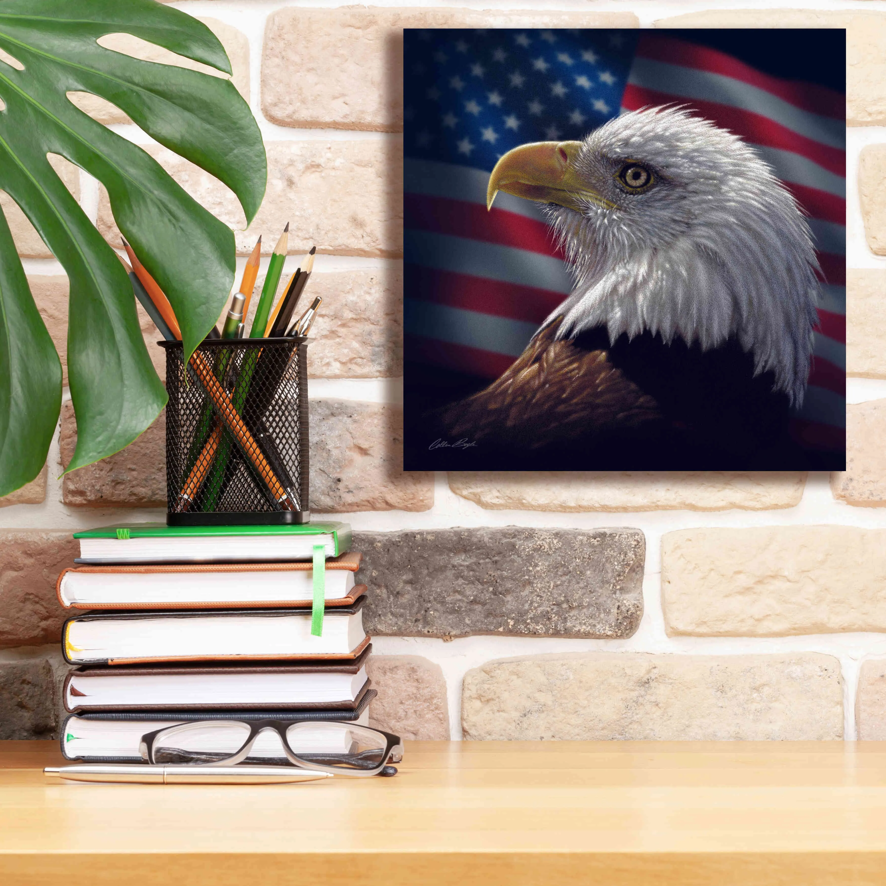 'American Bald Eagle' by Collin Bogle, Canvas Wall Art