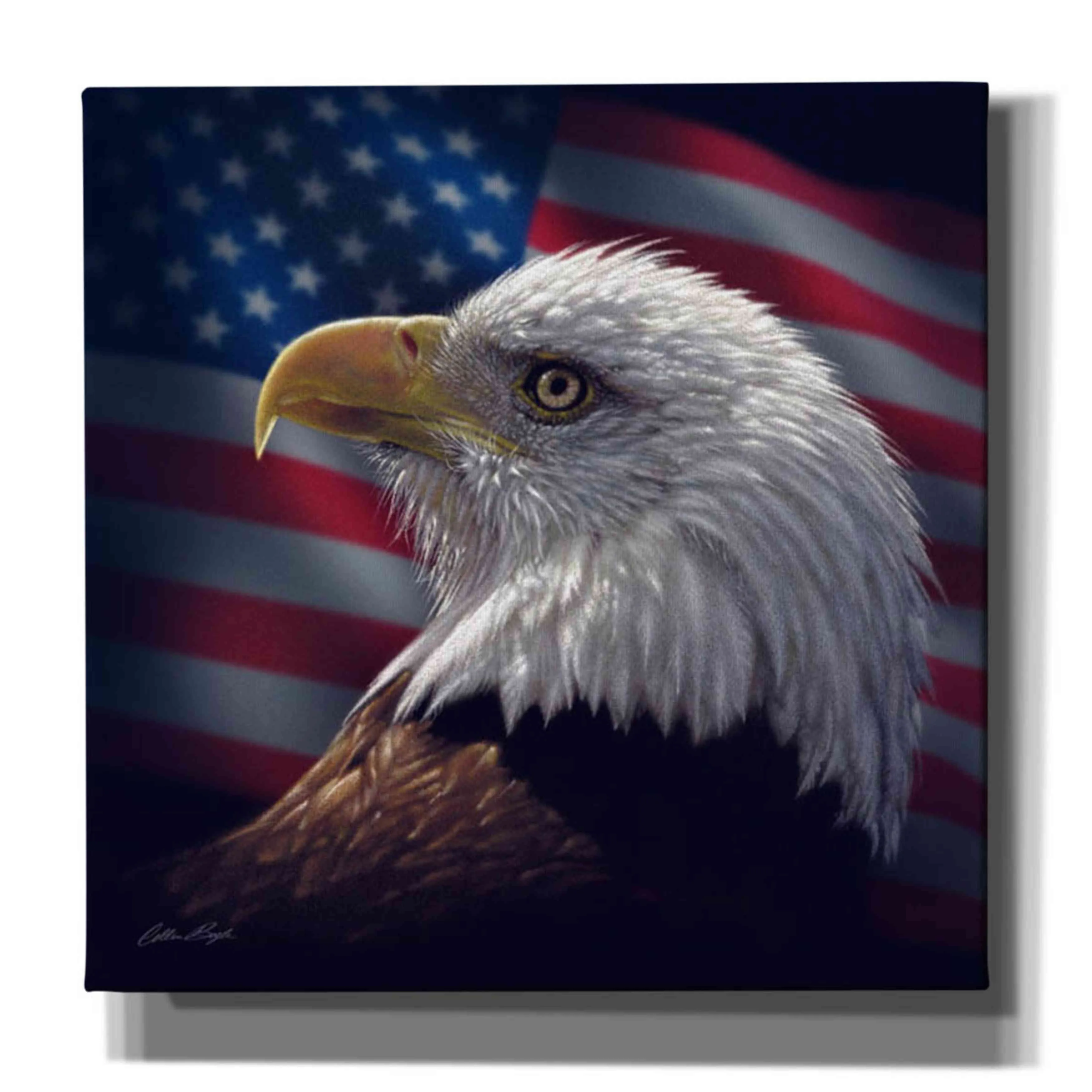 'American Bald Eagle' by Collin Bogle, Canvas Wall Art