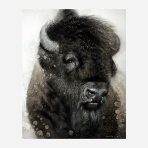 American Beauty Bison Art