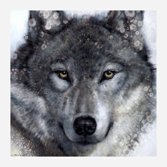 Aspen Wolf Framed Canvas Art