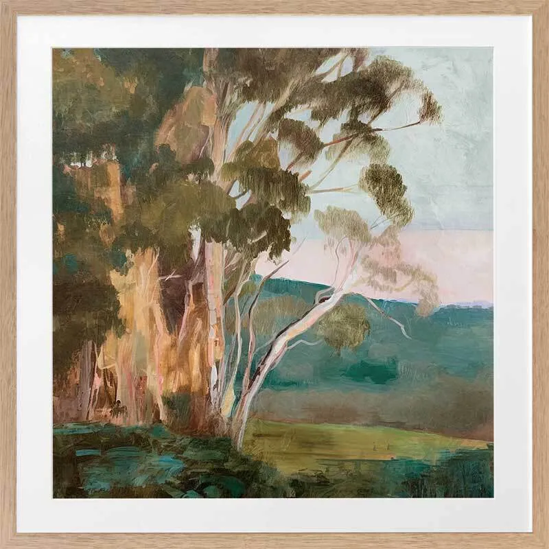 Australian Backyard Framed Art Print