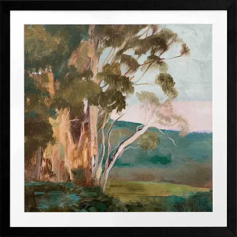 Australian Backyard Framed Art Print