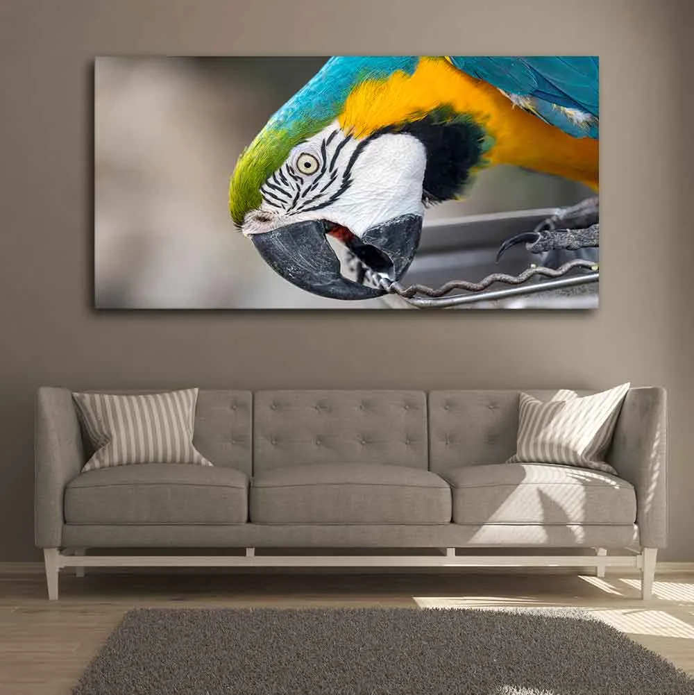 Beautiful Macaw Parrot Canvas Wall Painting