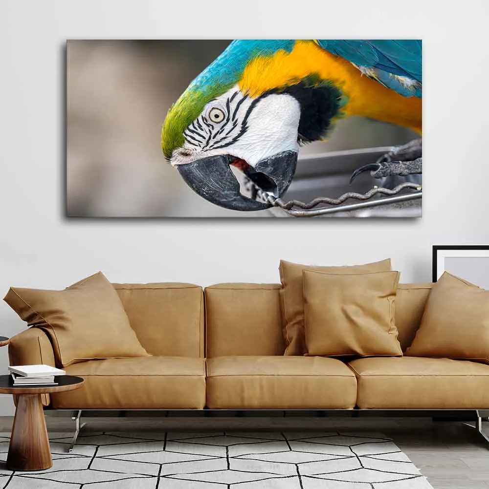 Beautiful Macaw Parrot Canvas Wall Painting