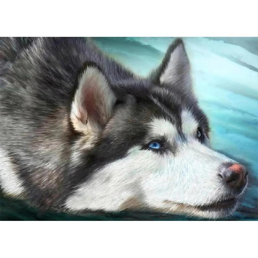 Dog HeadPictures  - Full Diamond Painting - 40x30cm