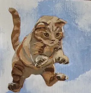 Flying Felines