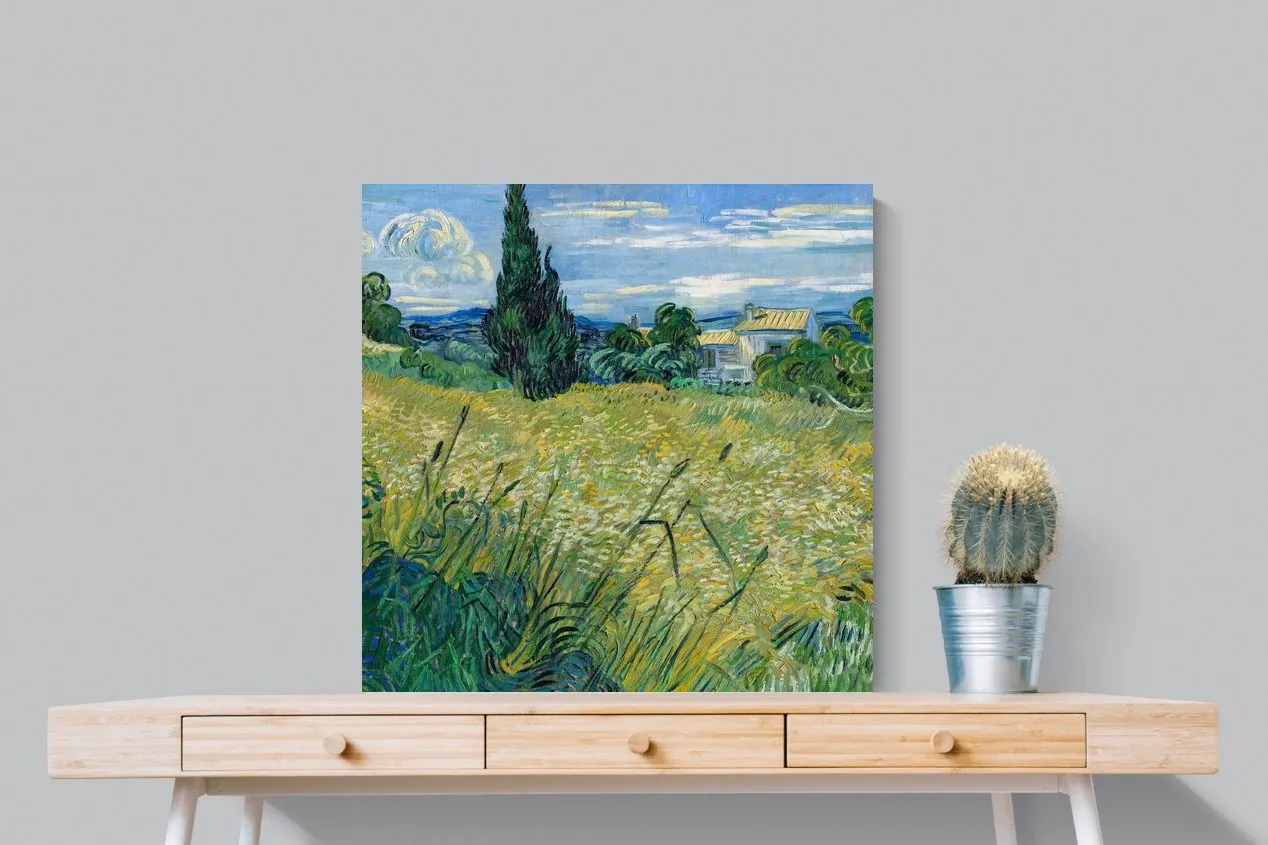 Green Wheat Field with Cypress