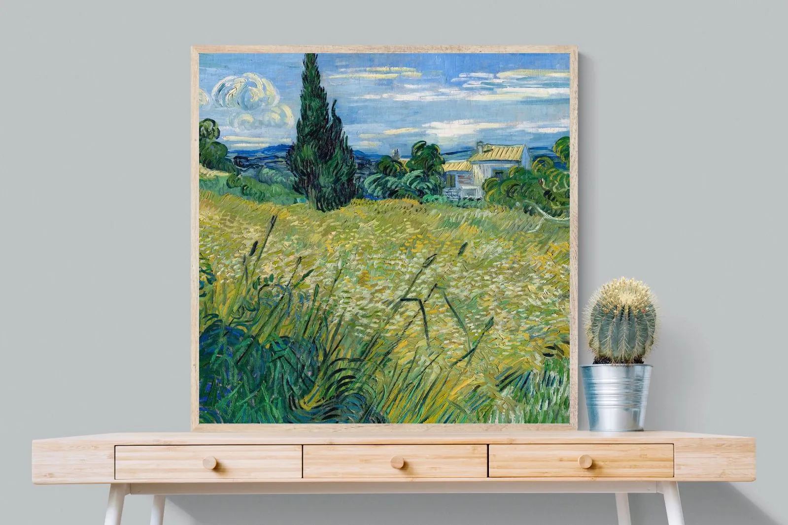 Green Wheat Field with Cypress