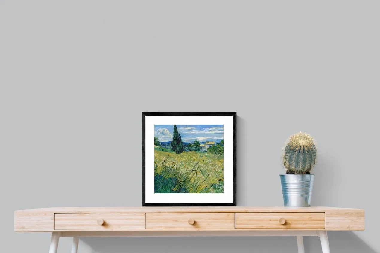 Green Wheat Field with Cypress