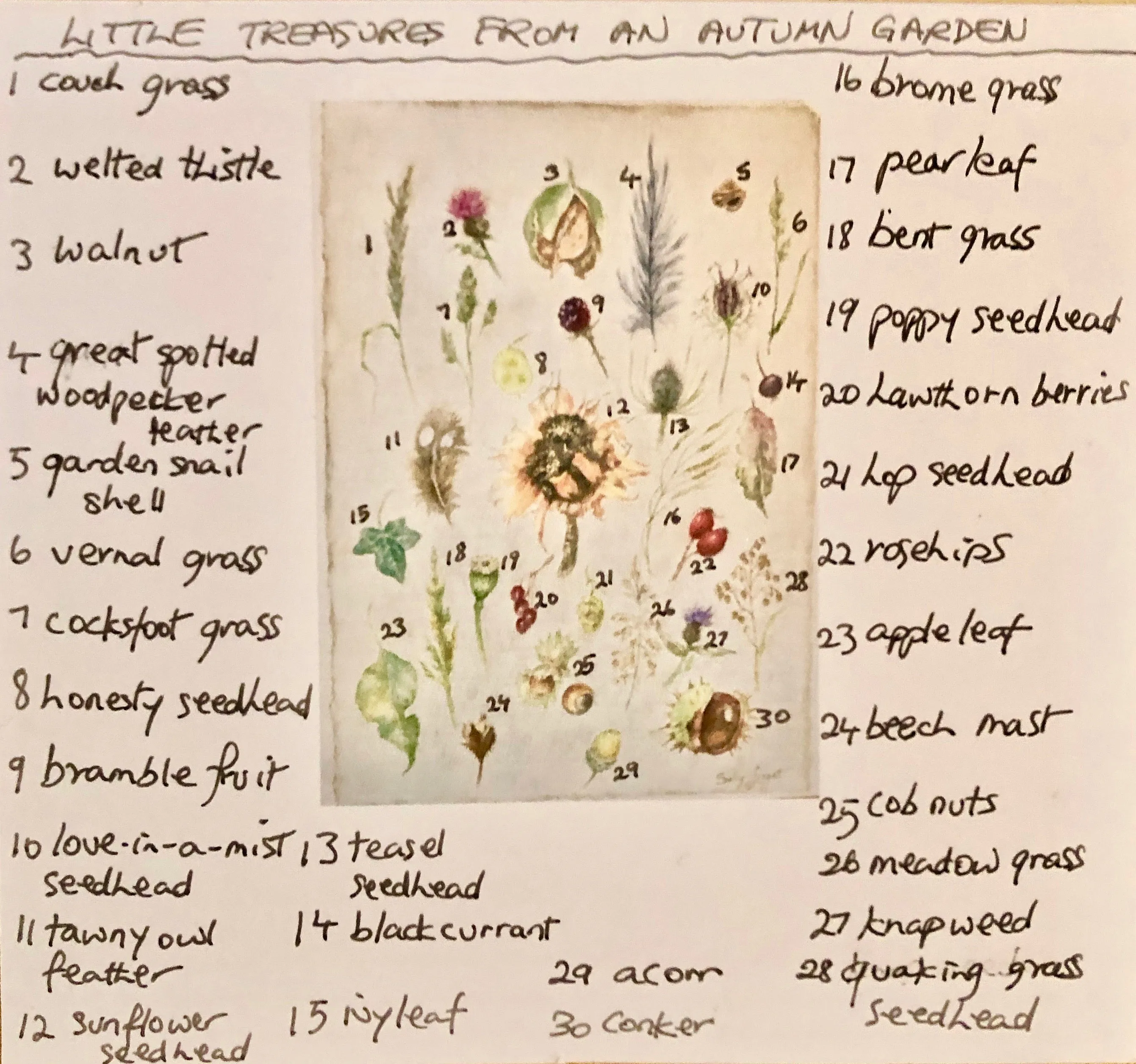 'Little Treasures From An Autumn Garden' - by Sally Leggatt