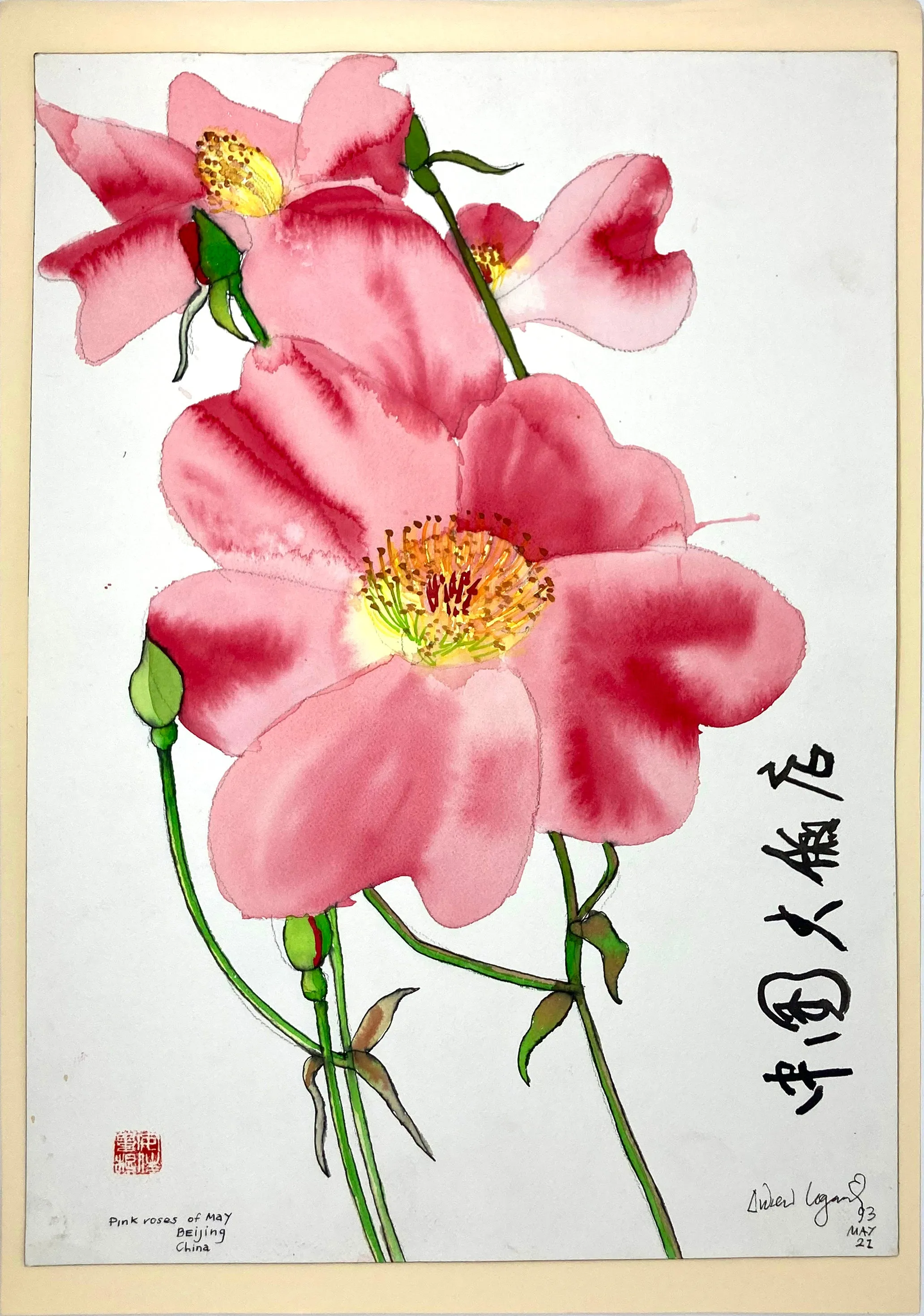 ORIGINAL WATERCOLOUR 'PINK ROSES OF MAY', CHINA - ANDREW LOGAN 1993