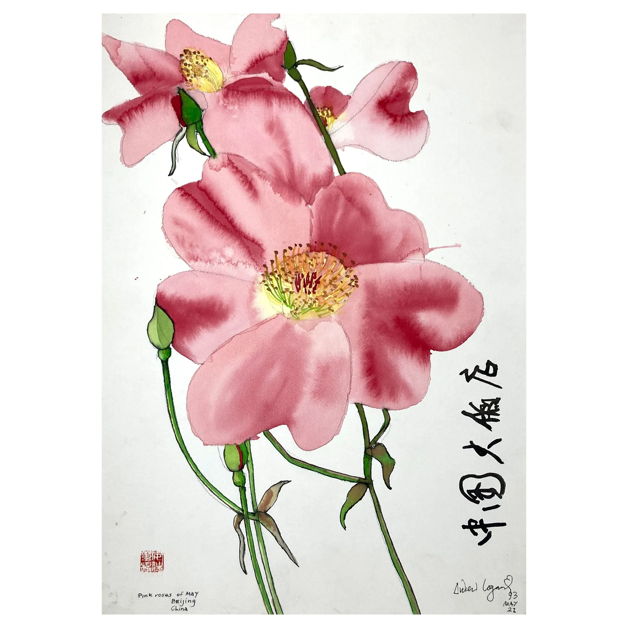 ORIGINAL WATERCOLOUR 'PINK ROSES OF MAY', CHINA - ANDREW LOGAN 1993