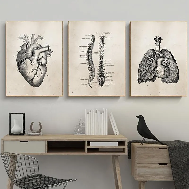 Vintage Human Anatomy Science Wall Art